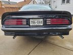 Thumbnail Photo 6 for 1978 Pontiac Firebird Formula