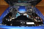 Thumbnail Photo 1 for 1978 Pontiac Firebird