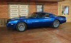 Thumbnail Photo 5 for 1978 Pontiac Firebird