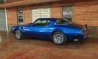 Thumbnail Photo 6 for 1978 Pontiac Firebird