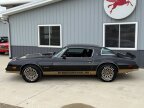 Thumbnail Photo 2 for 1978 Pontiac Firebird
