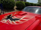 Thumbnail Photo 5 for 1978 Pontiac Firebird