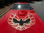 Thumbnail Photo 6 for 1978 Pontiac Firebird