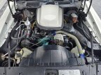 Thumbnail Photo 3 for 1978 Pontiac Firebird Trans Am