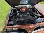 Thumbnail Photo 1 for 1978 Pontiac Firebird