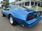 Thumbnail Photo 6 for 1978 Pontiac Firebird Trans Am