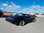 Thumbnail Photo 5 for 1978 Pontiac Firebird