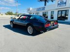 Thumbnail Photo 3 for 1978 Pontiac Firebird