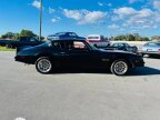 Thumbnail Photo 6 for 1978 Pontiac Firebird