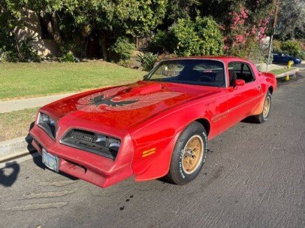 Photo 1 for 1978 Pontiac Firebird