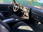 Thumbnail Photo 4 for 1978 Pontiac Firebird