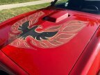 Thumbnail Photo 5 for 1978 Pontiac Firebird