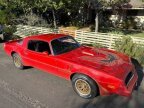 Thumbnail Photo 2 for 1978 Pontiac Firebird