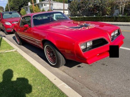 Photo 1 for 1978 Pontiac Firebird