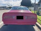 Thumbnail Photo 4 for 1978 Pontiac Firebird