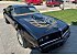 1978 Pontiac Firebird Trans Am