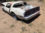 Thumbnail Photo 2 for 1978 Pontiac Firebird