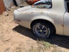 Thumbnail Photo 3 for 1978 Pontiac Firebird