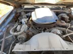 Thumbnail Photo 6 for 1978 Pontiac Firebird