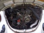 Thumbnail Photo 1 for 1978 Volkswagen Beetle