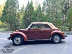Thumbnail Photo 2 for 1978 Volkswagen Beetle
