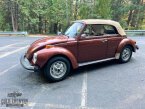Thumbnail Photo 1 for 1978 Volkswagen Beetle