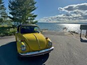1978 Volkswagen Beetle