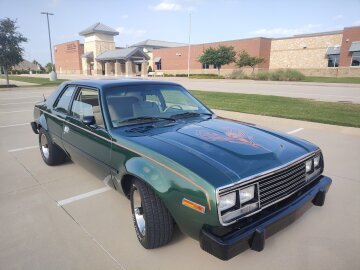 1979 AMC Other AMC Models