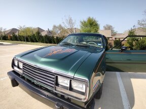 1979 AMC Other AMC Models