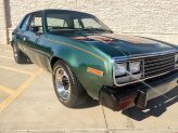 1979 AMC Other AMC Models