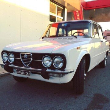 1979 Alfa Romeo Other Alfa Romeo Models