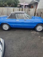 Thumbnail Photo 1 for 1979 Alfa Romeo Spider
