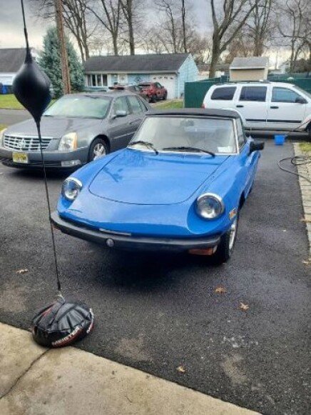 Photo 1 for 1979 Alfa Romeo Spider