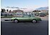 1979 Buick Riviera
