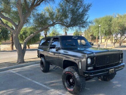 Photo 1 for 1979 Chevrolet Blazer