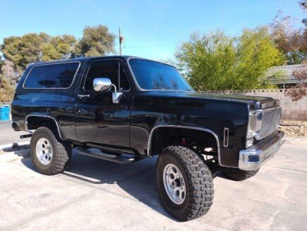 Photo 1 for 1979 Chevrolet Blazer