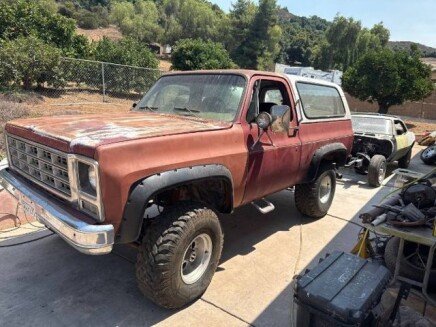 Photo 1 for 1979 Chevrolet Blazer