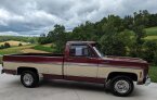 Thumbnail Photo 2 for 1979 Chevrolet C/K Truck Scottsdale for Sale by Owner