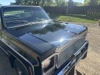 Thumbnail Photo 1 for 1979 Chevrolet C/K Truck Silverado for Sale by Owner