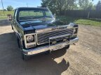Thumbnail Photo 2 for 1979 Chevrolet C/K Truck Silverado for Sale by Owner