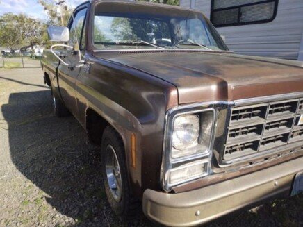 Photo 1 for 1979 Chevrolet C/K Truck
