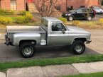 Thumbnail Photo 4 for 1979 Chevrolet C/K Truck