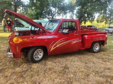 Photo 1 for 1979 Chevrolet C/K Truck