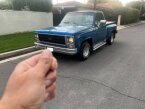 Thumbnail Photo 1 for 1979 Chevrolet C/K Truck Cheyenne