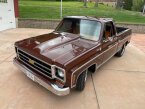 Thumbnail Photo 5 for 1979 Chevrolet C/K Truck