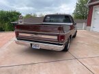 Thumbnail Photo 3 for 1979 Chevrolet C/K Truck