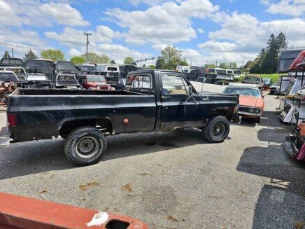Photo 1 for 1979 Chevrolet C/K Truck Custom Deluxe