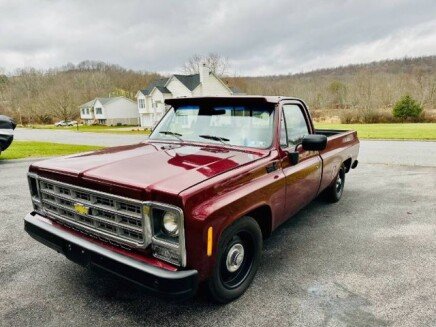 Photo 1 for 1979 Chevrolet C/K Truck