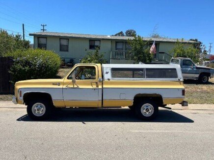 Photo 1 for 1979 Chevrolet C/K Truck Silverado