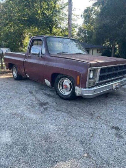 Photo 1 for 1979 Chevrolet C/K Truck